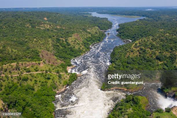 famous murchison falls at nile river, uganda - uganda stock pictures, royalty-free photos & images