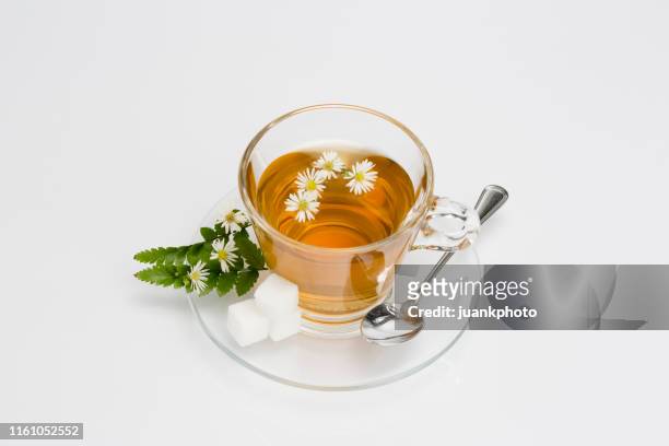 tasse kamillentee mit kamillenblüten - chamomile tea stock-fotos und bilder