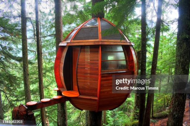 dwelling in the trees - creepy shack stock pictures, royalty-free photos & images