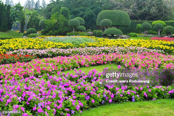 flower gardens - perennial stock pictures, royalty-free photos & images