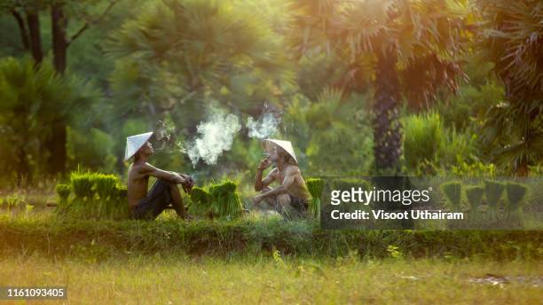 happy farmers smoking. - u.s. department of the interior stock pictures, royalty-free photos & images