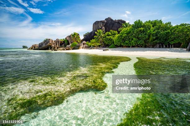 in der lagune des tropischen inselparadieses - seychellen stock-fotos und bilder