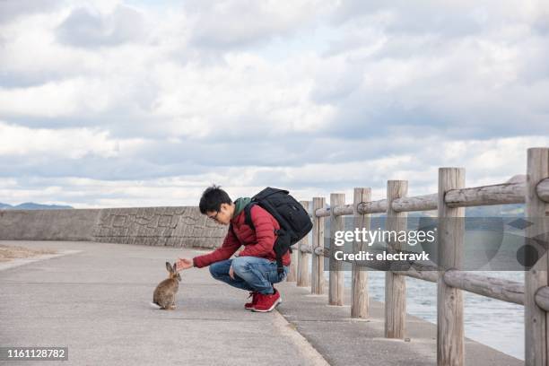 man playing with rabbits outside - conflict islands stock pictures, royalty-free photos & images
