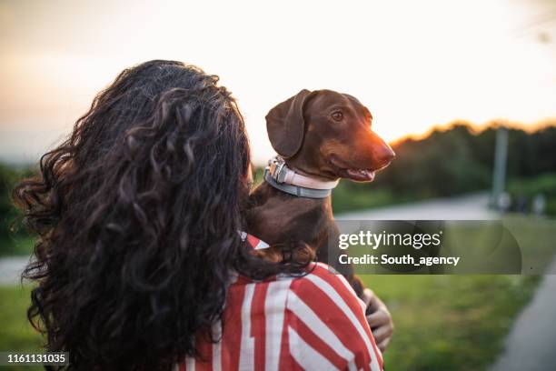 young woman carrying dachshund - dachshund holiday stock pictures, royalty-free photos & images