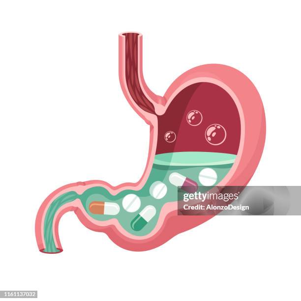 human stomach with pills. - digestive problems stock illustrations