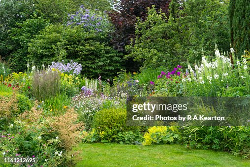 Summer flower border in full growth Summer flower border in full growth