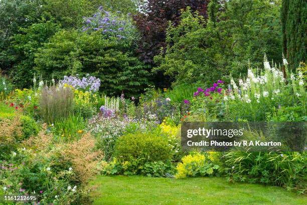 summer flower border in full growth - lawn imagens e fotografias de stock