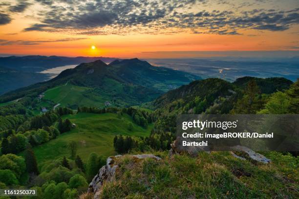 sunrise on the weissenstein, view over the jura mountains and the swiss plateau, canton solothurn, switzerland - solothurn stock-fotos und bilder