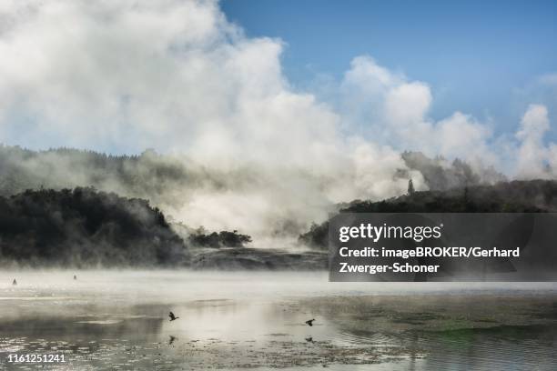 17 Lake Ohakuri Stock Photos, HighRes Pictures, and Images Getty Images
