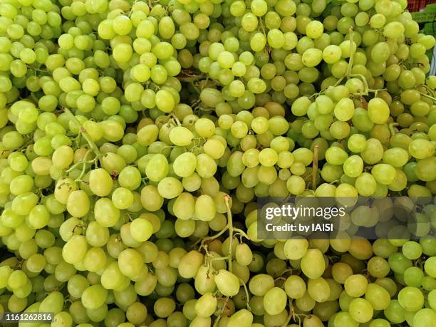 abundance of white grape at the market full frame - uva imagens e fotografias de stock