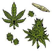 cannabis marijuana set