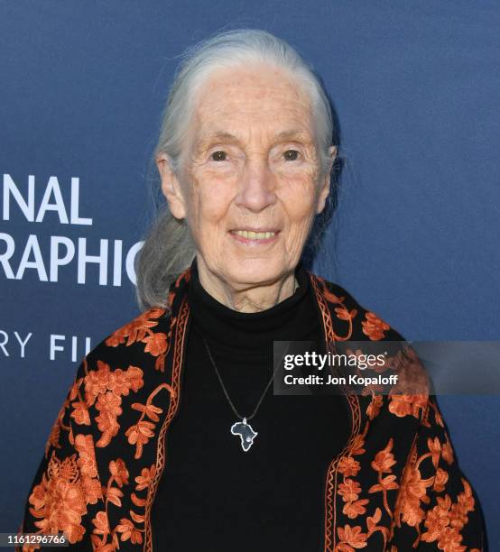 Dr. Jane Goodall attends National Geographic Documentary Films' Premiere Of "Sea Of Shadows" at NeueHouse Los Angeles on July 10, 2019 in Hollywood,...