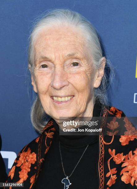 Dr. Jane Goodall attends National Geographic Documentary Films' Premiere Of "Sea Of Shadows" at NeueHouse Los Angeles on July 10, 2019 in Hollywood,...