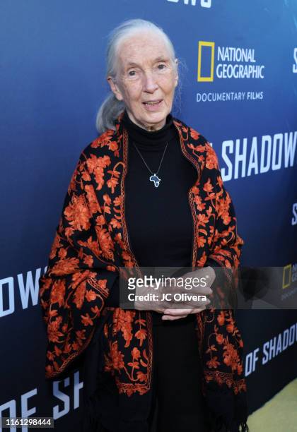 Dr. Jane Goodall attends National Geographic Documentary Films' premiere of 'Sea Of Shadows' at NeueHouse Los Angeles on July 10, 2019 in Hollywood,...