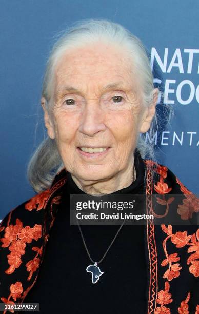 Jane Goodall attends the National Geographic Documentary Films' premiere of "Sea of Shadows" at NeueHouse Los Angeles on July 10, 2019 in Hollywood,...