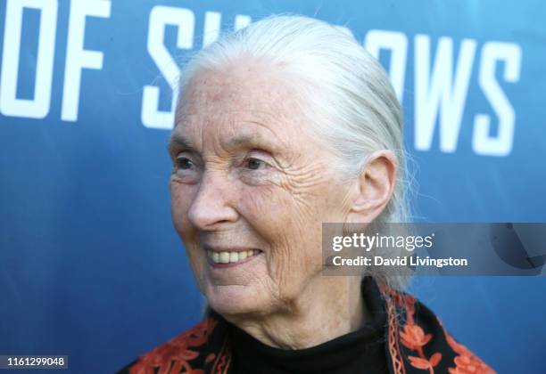 Jane Goodall attends the National Geographic Documentary Films' premiere of "Sea of Shadows" at NeueHouse Los Angeles on July 10, 2019 in Hollywood,...