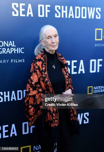 Jane Goodall attends National Geographic Documentary Films’ SEA OF SHADOWS Los Angeles Premiere at NeueHouse Los Angeles on July 10, 2019 in...