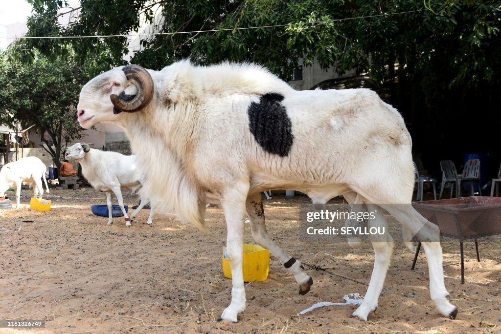 SENEGAL-RELIGION-ISLAM-EID