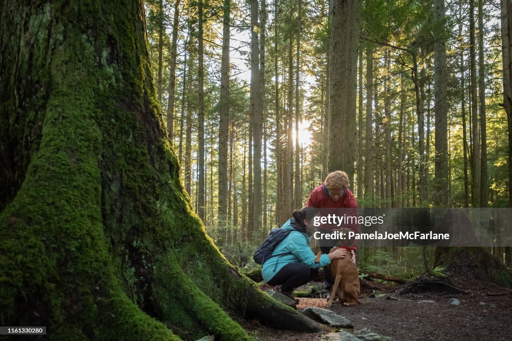 Teenaged Girl and Boy with Vizsla Dog in Sunlit Forest