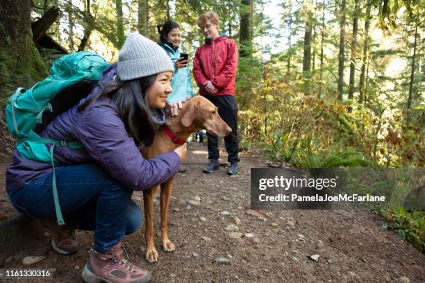 millennials met behulp van mobiele mapping app met vizsla hond in bos - pacific northwest stockfoto's en -beelden