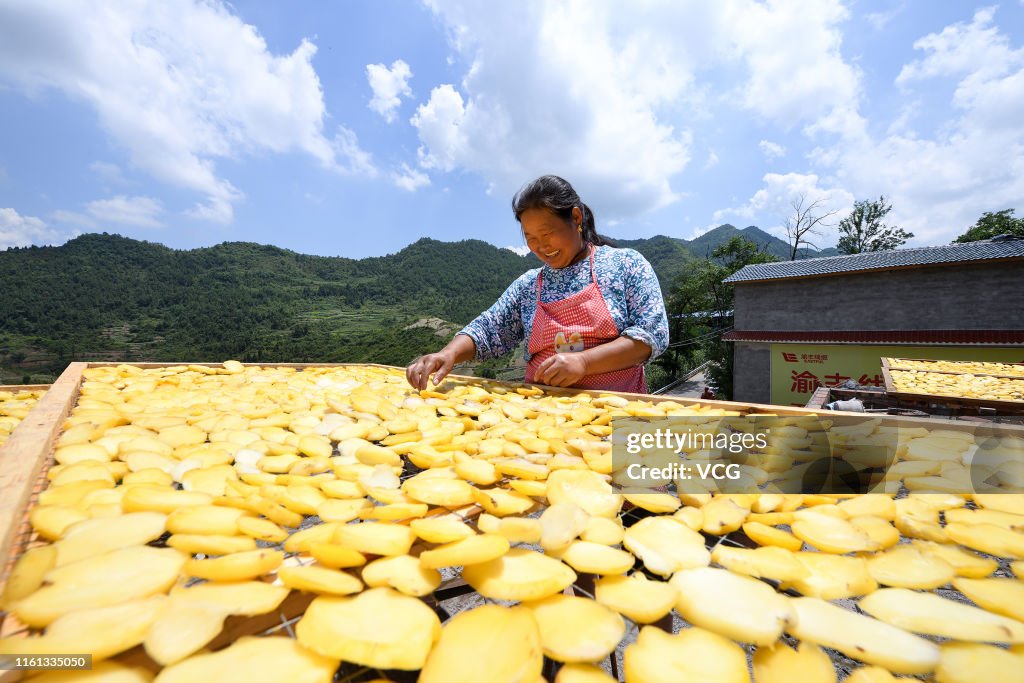 Farmers Dry Potatoes In Chongqing