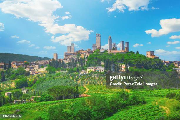 san gimignano with vineyards and olive tree plantations in tuscany - san gimignano stock-fotos und bilder