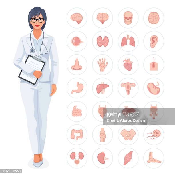medical concept vector. female doctor. - human internal organ stock illustrations