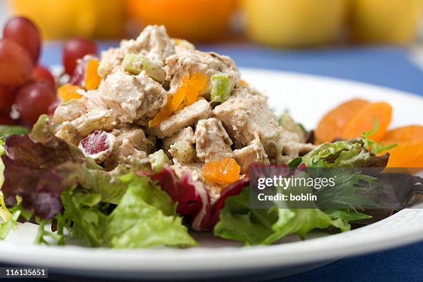 curried chicken salad - chicken salad stock pictures, royalty-free photos & images
