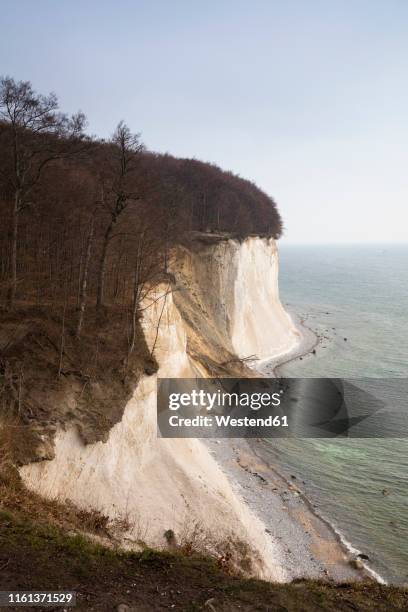 chalk cliff, jasmund national park, ruegen, germany - rügen island chalk cliffs stockfoto's en -beelden