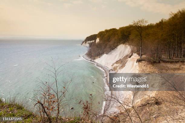 chalk cliff, jasmund national park, ruegen, germany - rügen island chalk cliffs stockfoto's en -beelden