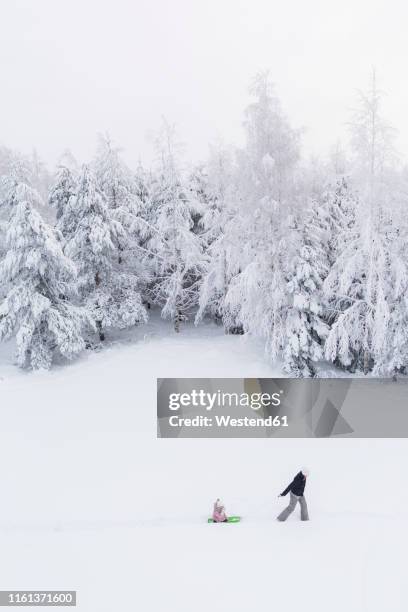 finland, kuopio, mother and daughter with sledge in winter forest - family winter sport stock pictures, royalty-free photos & images