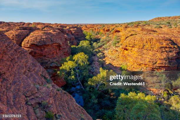 kings canyon, watarrka national park, northern territory, australia - kings canyon australia stockfoto's en -beelden