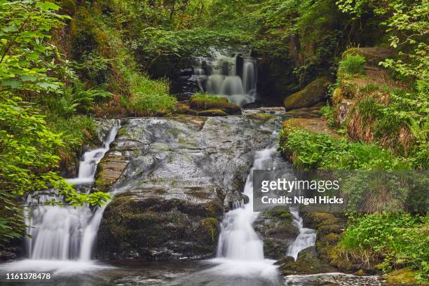 a waterfall on river as it flows through ancient woodland; the east lyn river, at watersmeet, exmoor national park, devon, great britain - exmoor national park stockfoto's en -beelden