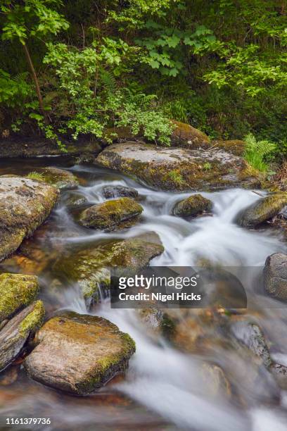 a river flows through ancient woodland; the east lyn river, at watersmeet, exmoor national park, devon, great britain - exmoor national park stockfoto's en -beelden