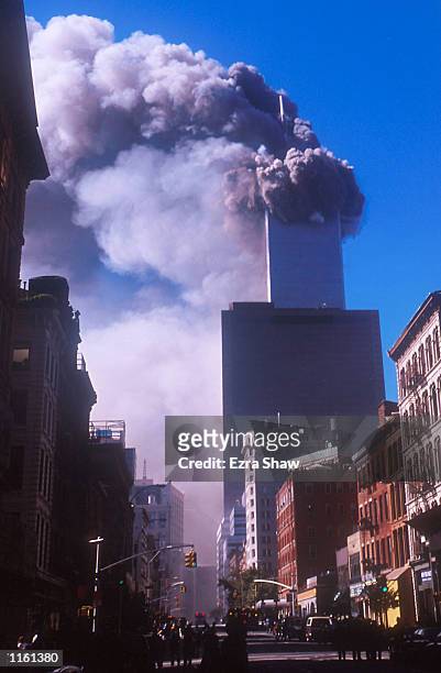 One of the World Trade Center's twin towers collapses after it was struck by a commerical airliner in a suspected terrorist attack September 11, 2001...