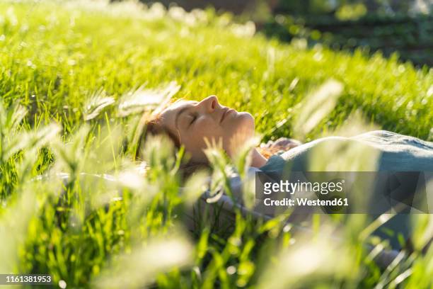 young redheaded woman lying on meadow in a park - women lying stock-fotos und bilder