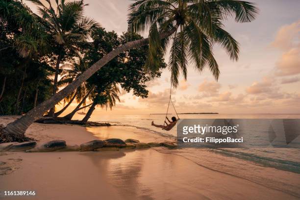 年輕的成年婦女在熱帶天堂的秋千上放鬆 - beach 個照片及圖片檔