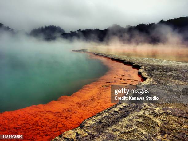 champagne zwembad waiotapu - rotorua stockfoto's en -beelden