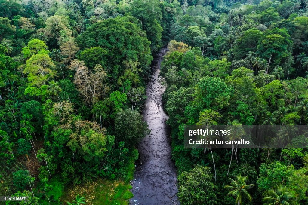Aerial view from the deep tropical forest
