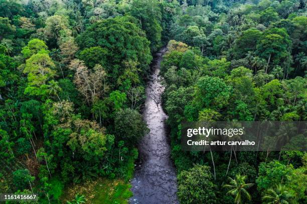 aerial view from the deep tropical forest - aerial rainforest stock pictures, royalty-free photos & images