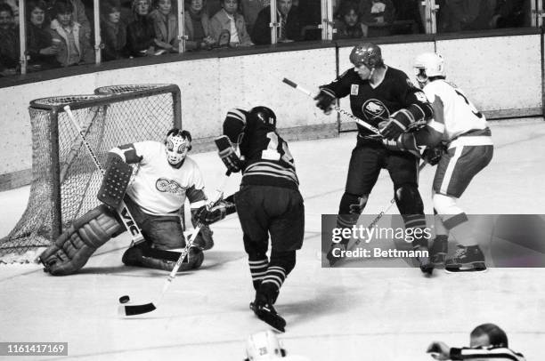 Jimmy Rutherford Jim Rutherford Redwings Photos and Premium High Res Pictures - Getty Images