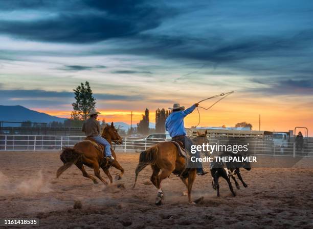 Original Team Roping 1,801 Team Roping Stock Photos, High-Res Pictures, and Images - Getty ...