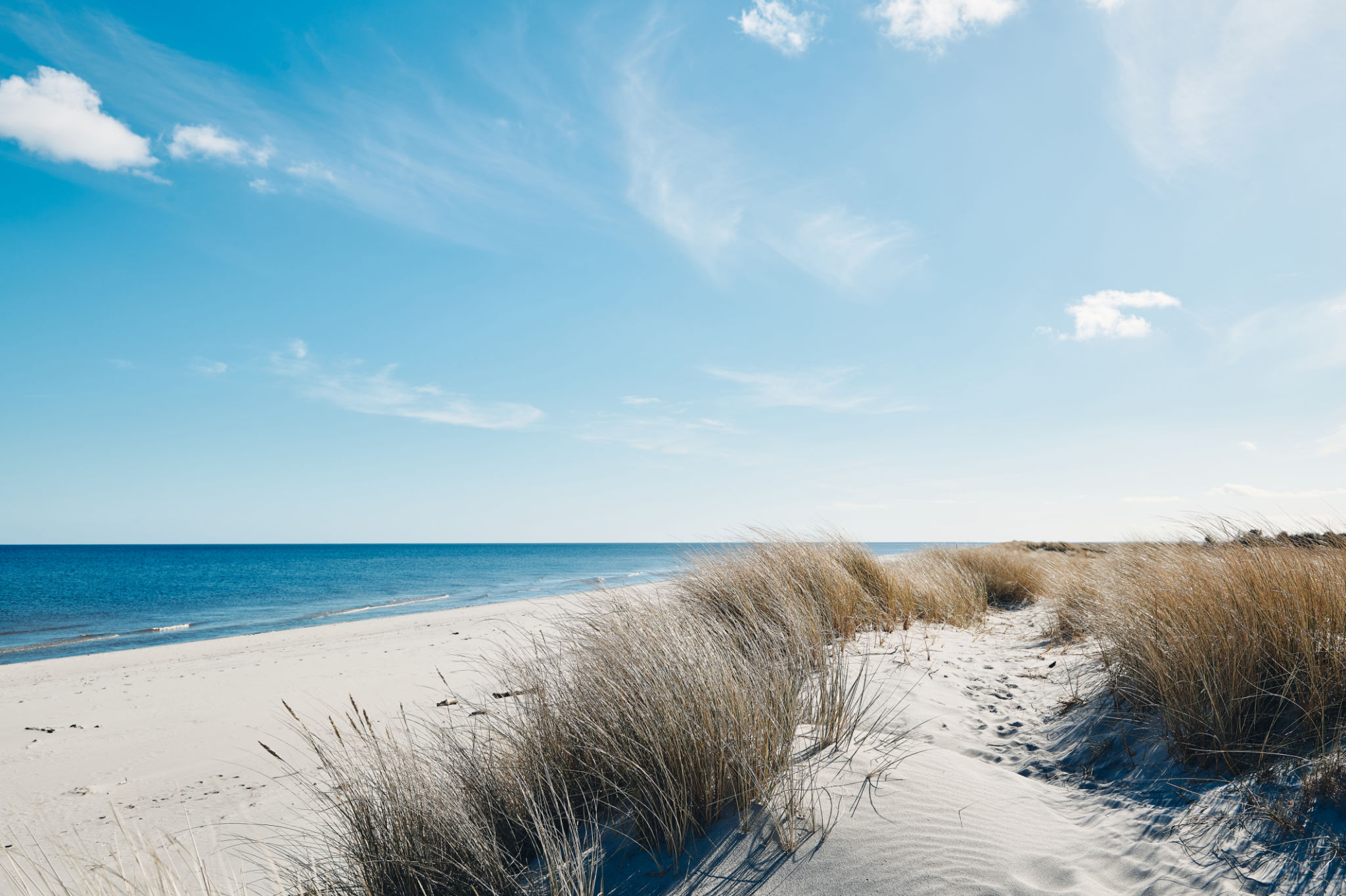 coastal environment
