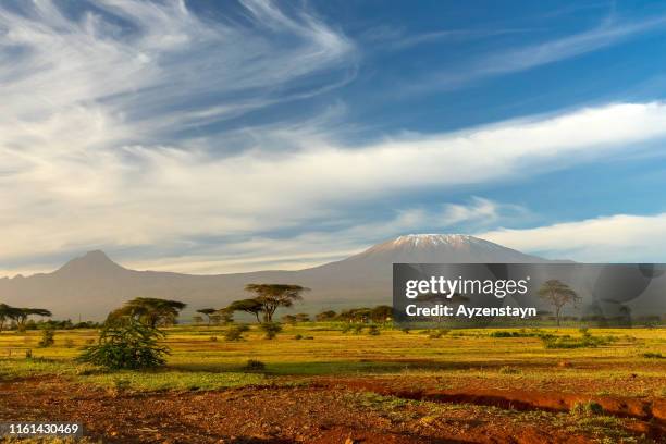 kilimanjaro and mawenzi peak with acacia trees - キリマンジャロ山 ストックフォトと画像