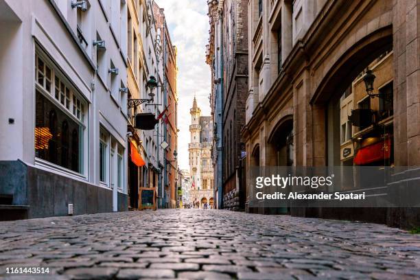 cobbled street in historical center of brussels, belgium - brussels hoofdstedelijk gewest stockfoto's en -beelden
