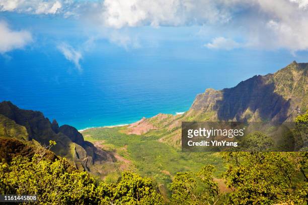 kalalau mirador del parque estatal nacional waimea canyon de la isla kauai, hawái - na pali fotografías e imágenes de stock