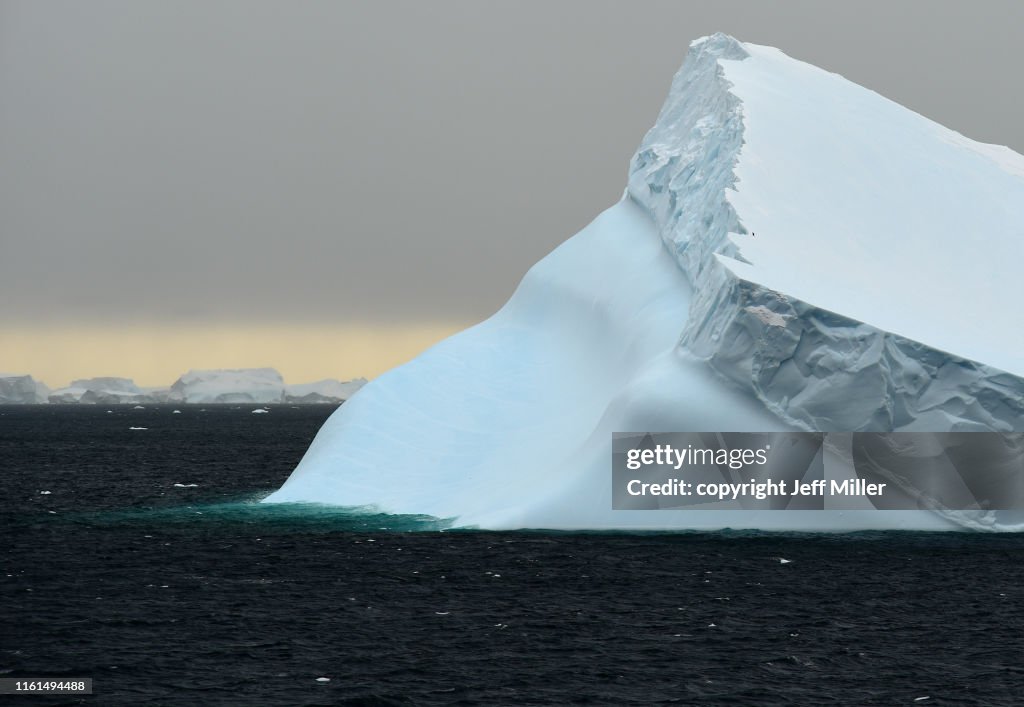 A lone Adélie penguin (Pygoscelis adeliae) standing on the edge of an iceberg, near Davis Station, Southern Ocean, Antarctica.