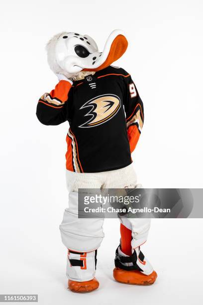 Anaheim Ducks mascot Wild Wing poses for a portrait on August 13, 2019 at the United Center in Chicago, Illinois.