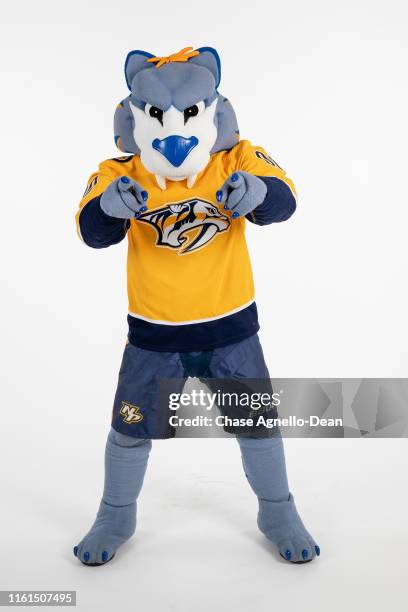 Preds Maskcot 492 Nashville Predators Mascot Stock Photos, High-Res Pictures, and ...