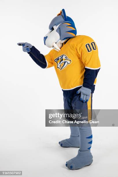 Preds Maskcot Mascot Gnash Photos and Premium High Res Pictures - Getty Images